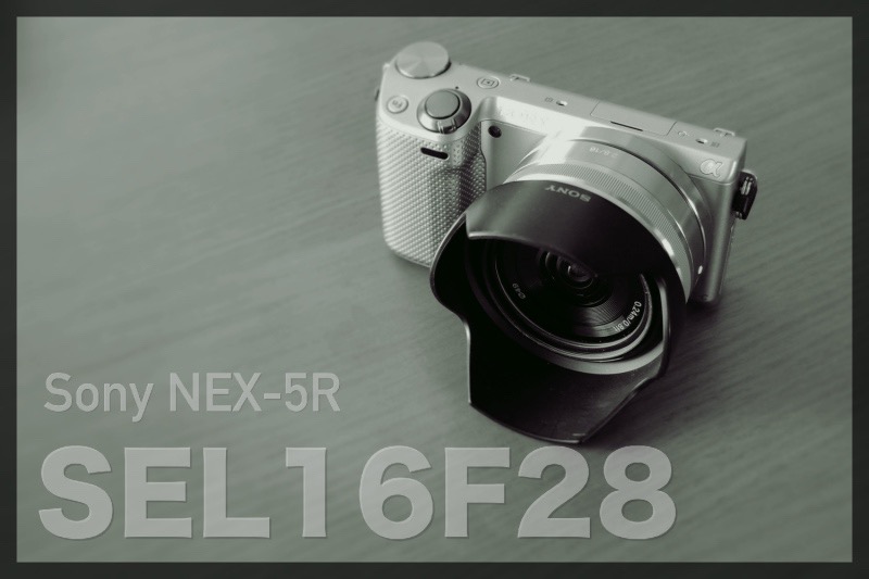 Sony NEX-5 とレンズsel16f28-mwasaving.com